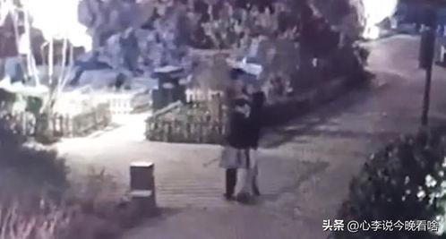 离奇吃瓜广告视频大全,视频大全背后的惊人真相
