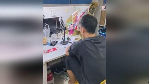 吃瓜视频大全男生,揭秘男生们的欢乐时光