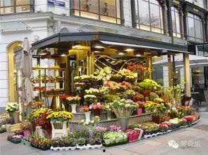 吃瓜花店视频下载,热门视频下载攻略大公开