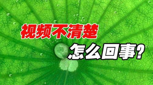 抖音都在发吃瓜的视频嘛,全民吃瓜，揭秘网络热点背后的故事