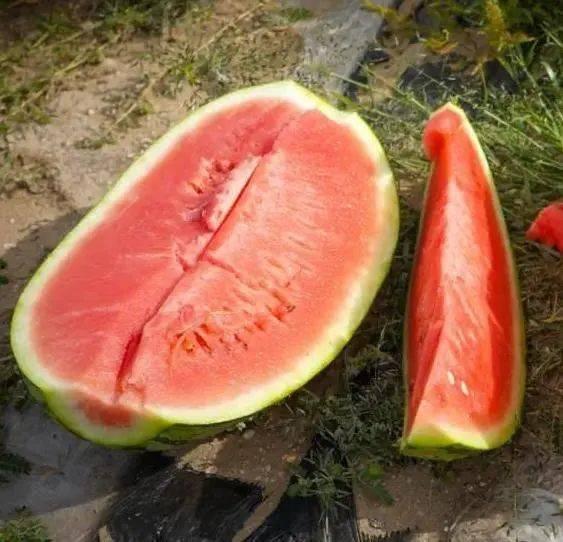 如何快速吃瓜视频,快速吃瓜视频攻略解析